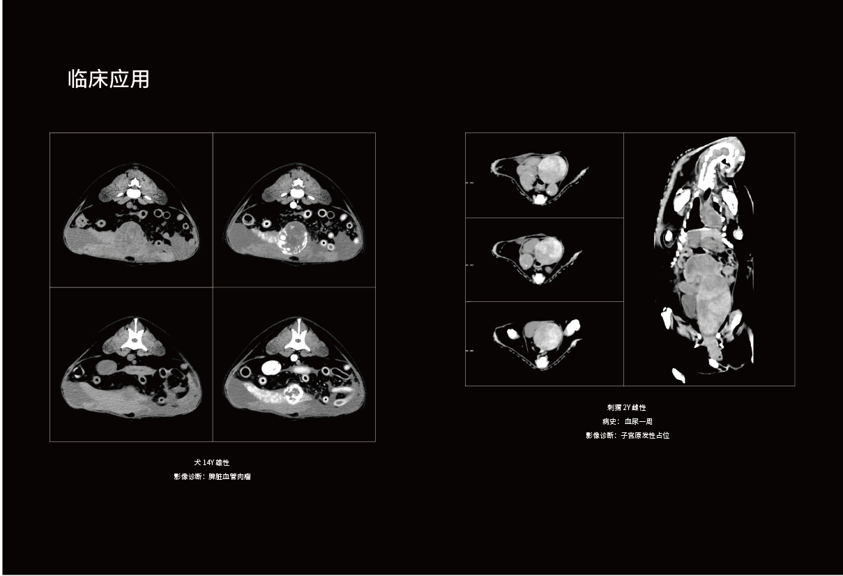 ScintCare V32+系列